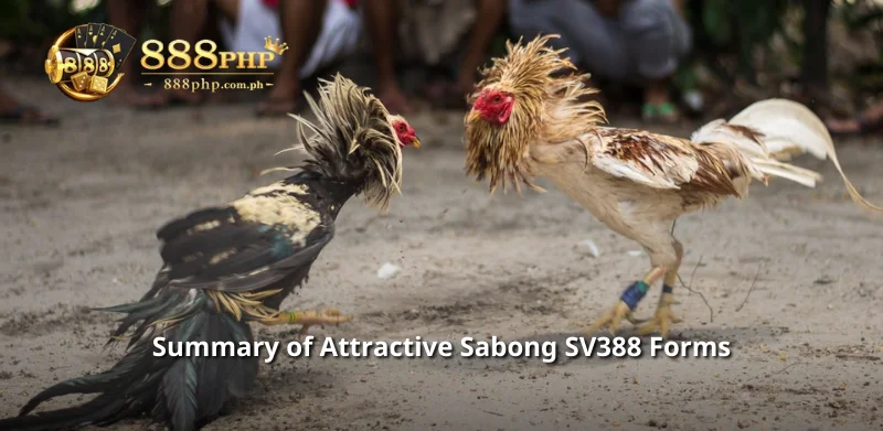 Summary of Attractive Sabong SV388 Forms